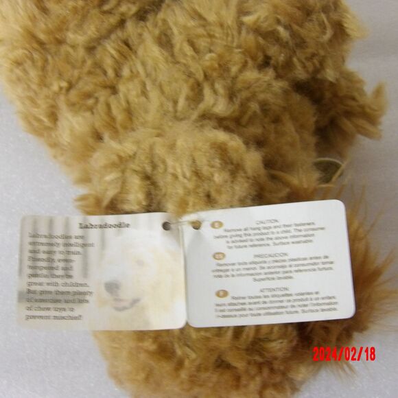 Aurora Miyoni Tots Labradoodle dog - Picture 4 of 4